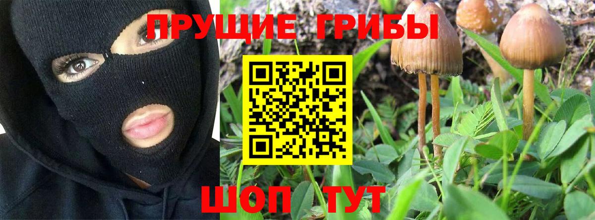 Псилоцибиновые грибы Psilocybine cubensis Изобильный